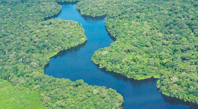 Fluss im Amazonasgebiet / BRASILIEN