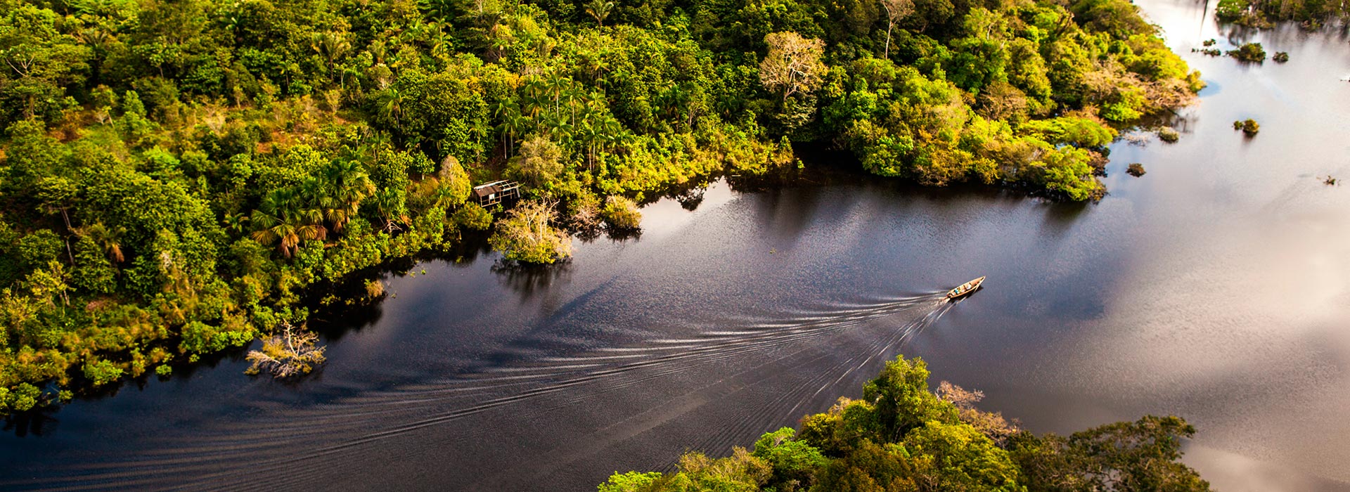 Amazonas